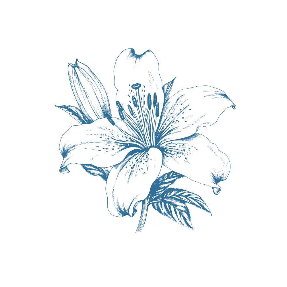 Energiearbeit, Kinesiologie, Reiki